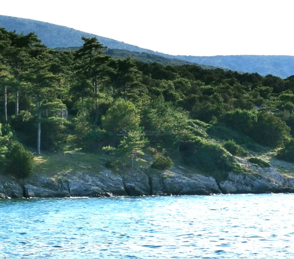 Image 6244972 - 5