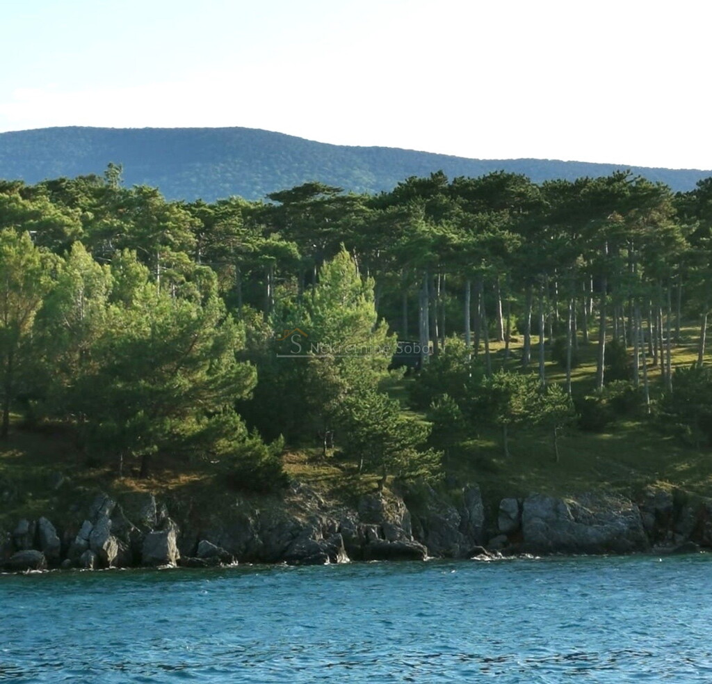 Image 6244972 - 4