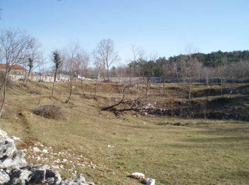 Image 6244973 - 2