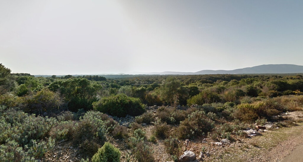 Image 6244976 - 1