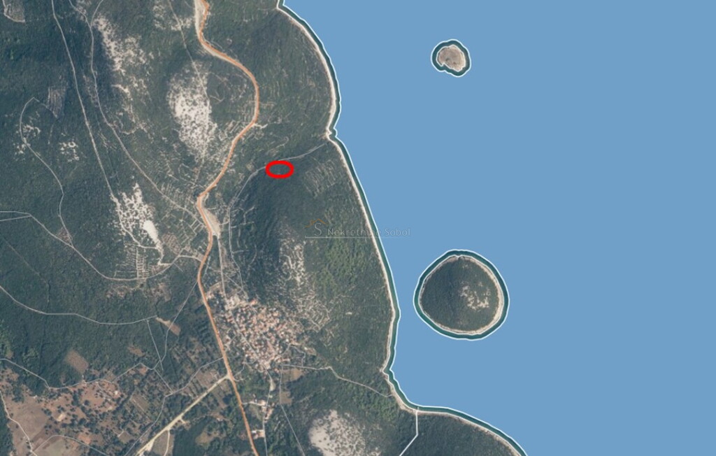 Image 6244977 - 1