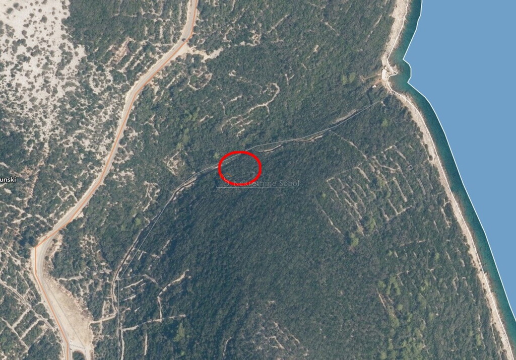 Image 6244977 - 2