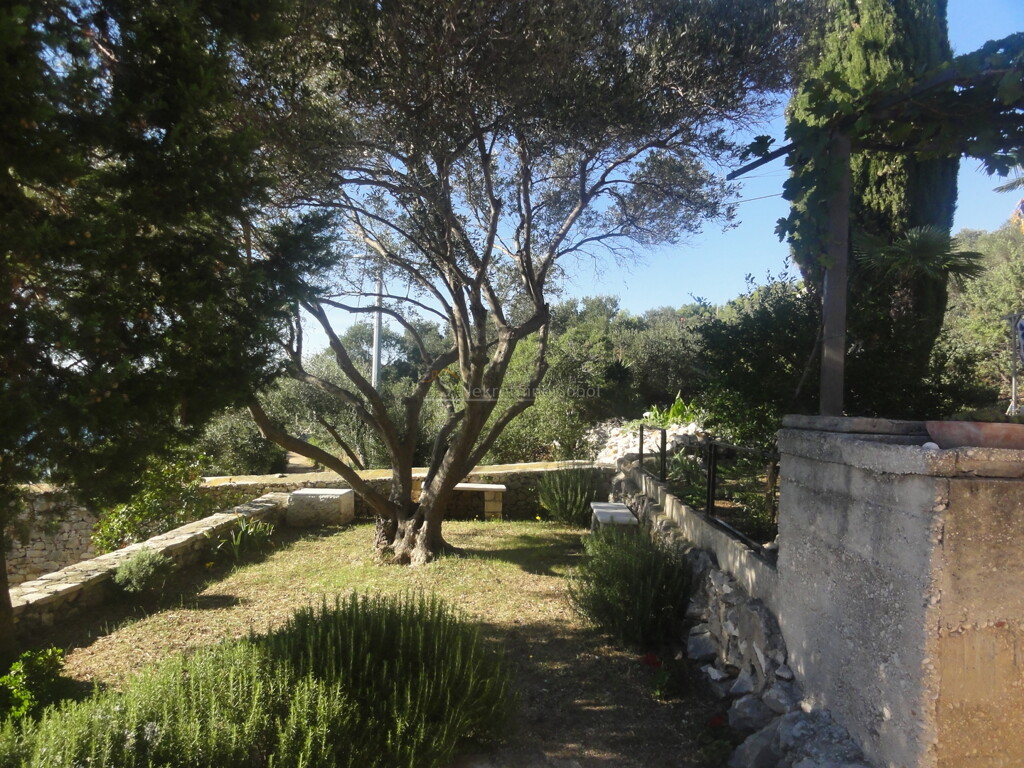 Image 6244978 - 8