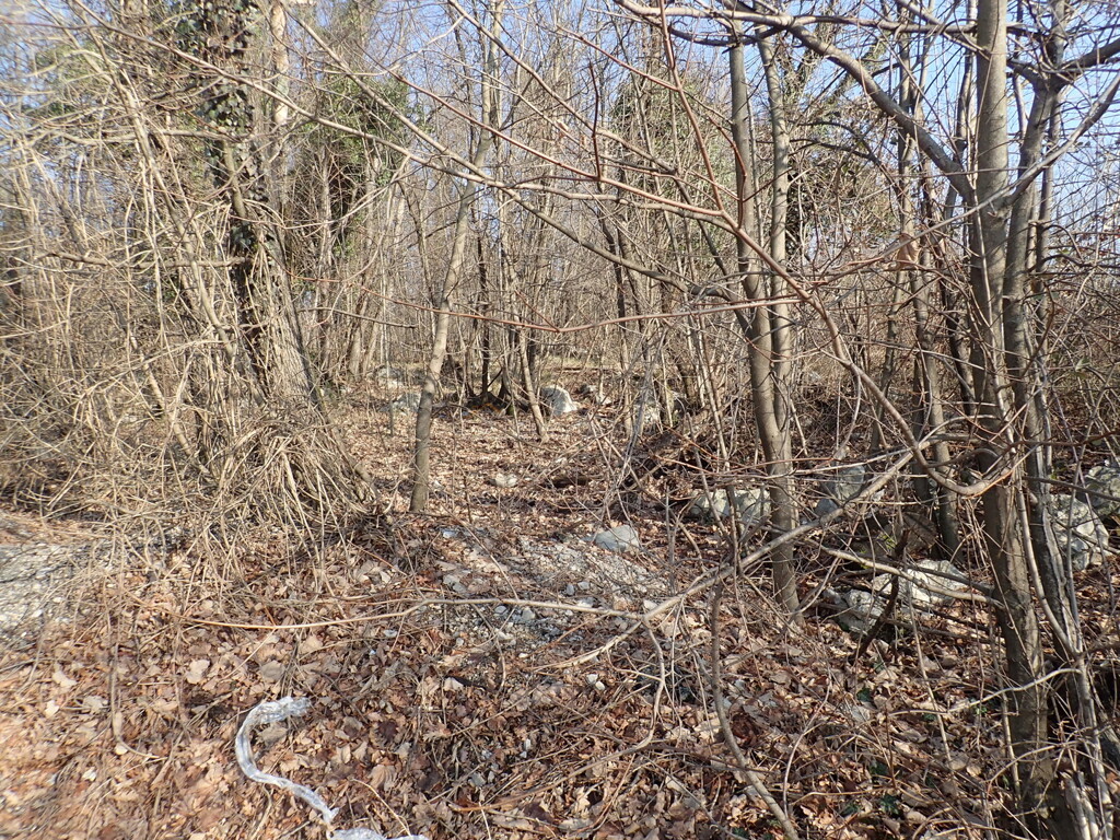 Image 6244981 - 3