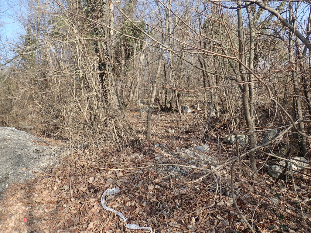 Image 6244981 - 4