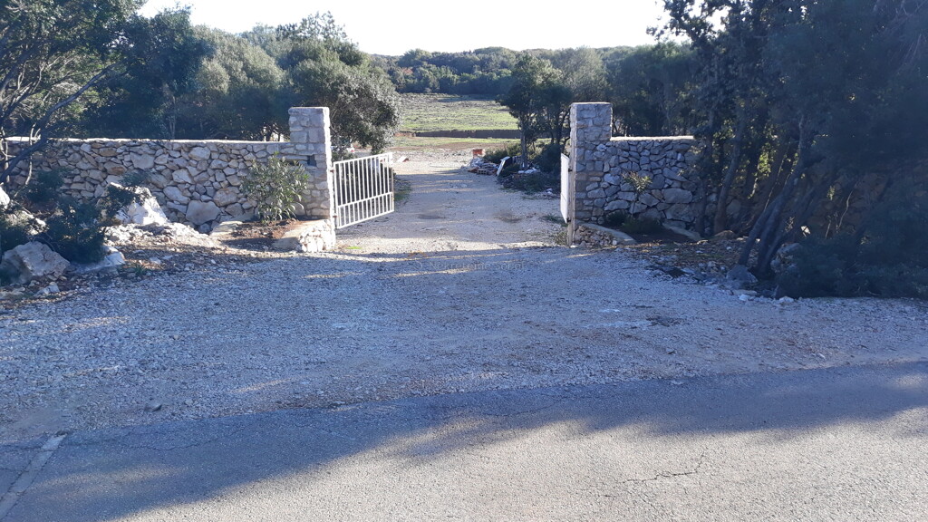 Image 6244985 - 1