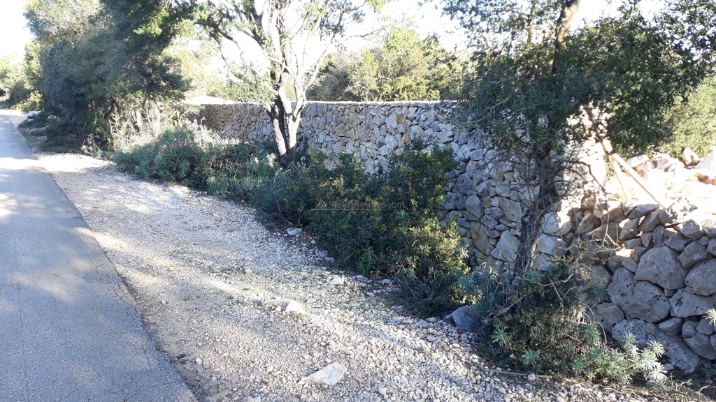 Image 6244985 - 2