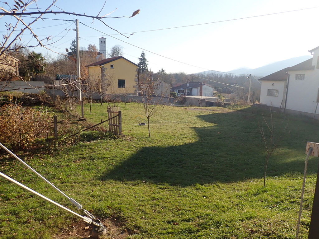 Image 6244986 - 2