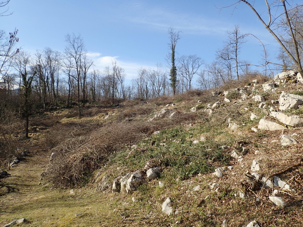 Image 6244988 - 2