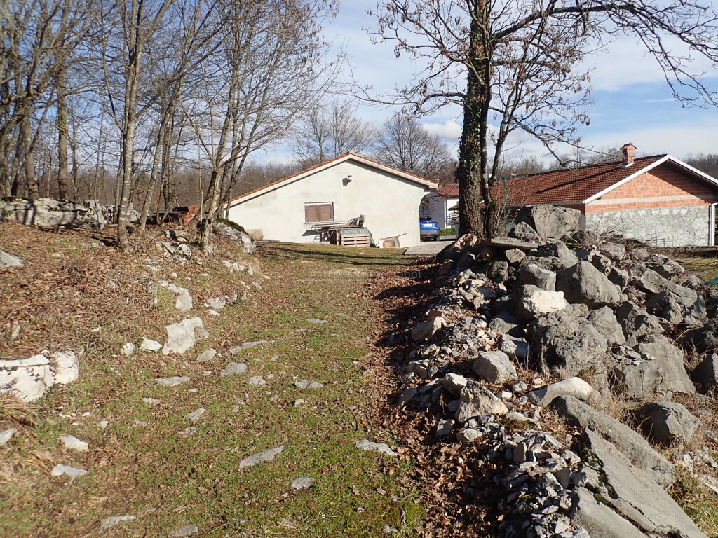 Image 6244988 - 3