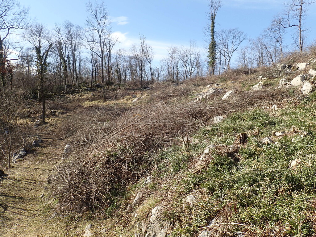 Image 6244988 - 4