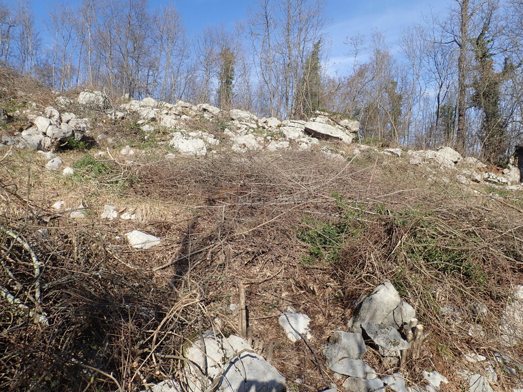 Image 6244988 - 5