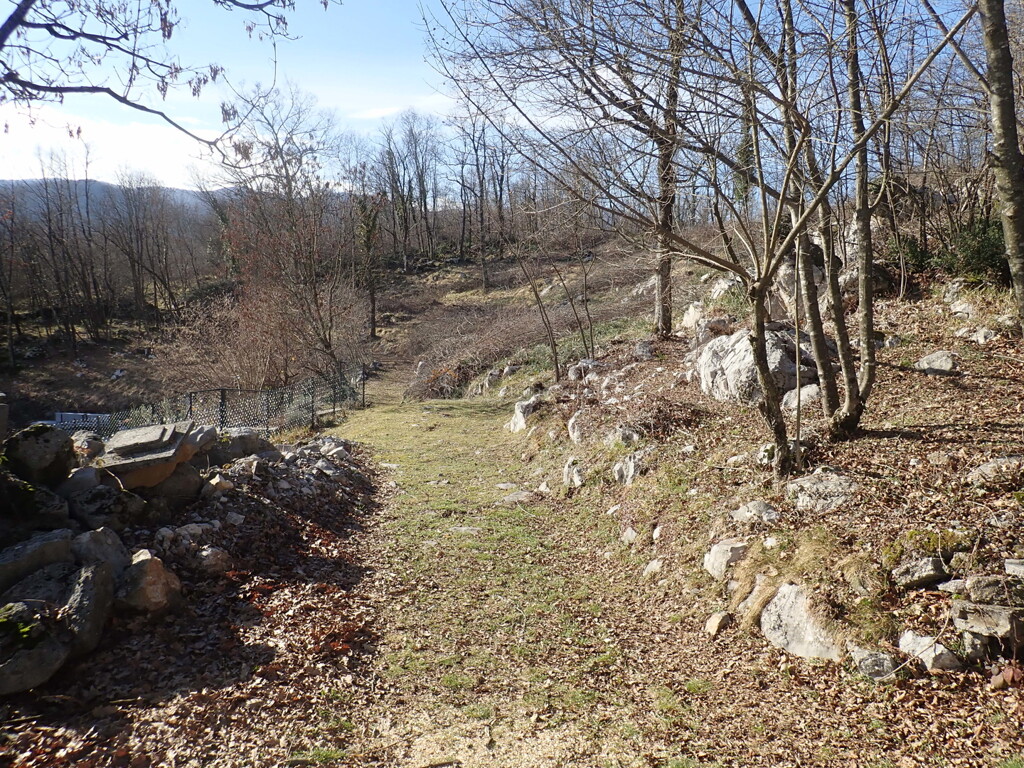 Image 6244988 - 1