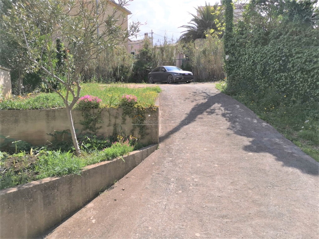 Image 6244991 - 11