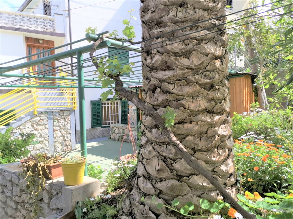 Image 6244991 - 5