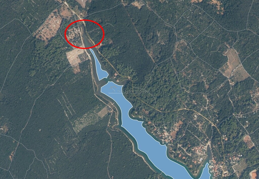 Image 6244995 - 2