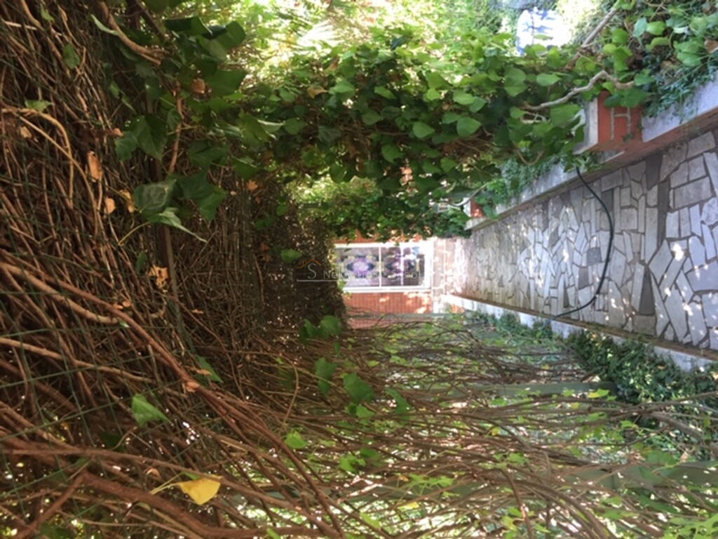 Image 6244999 - 3