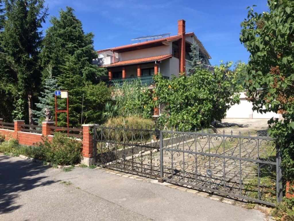 Image 6244999 - 1
