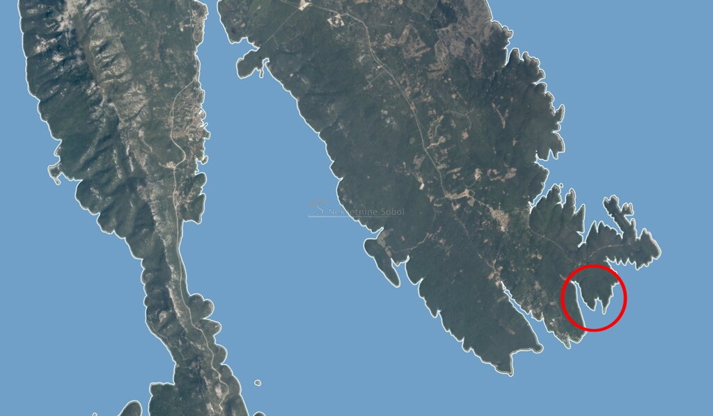 Image 6245007 - 1