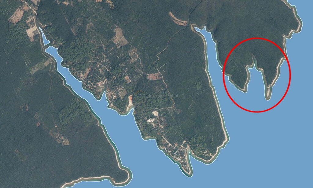 Image 6245007 - 2