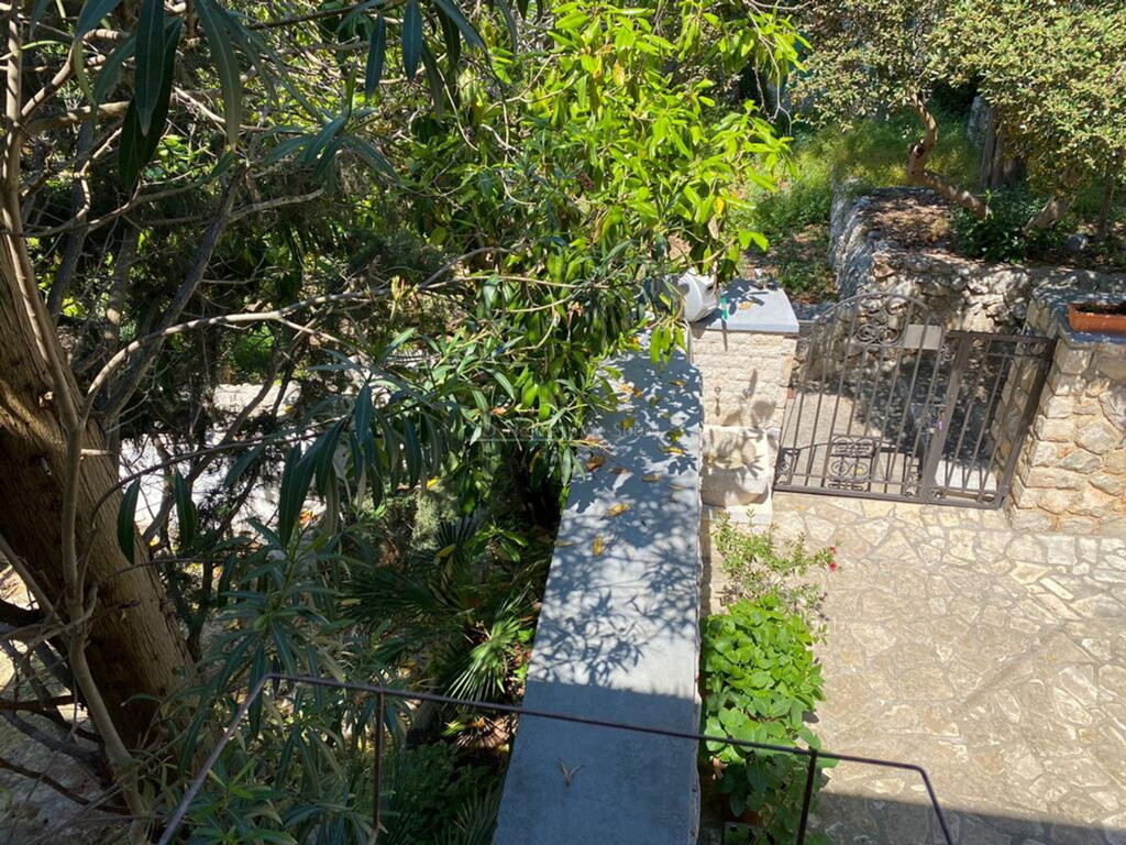 Image 6245009 - 11