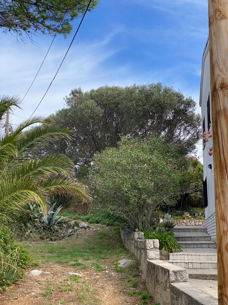 Image 6245013 - 8