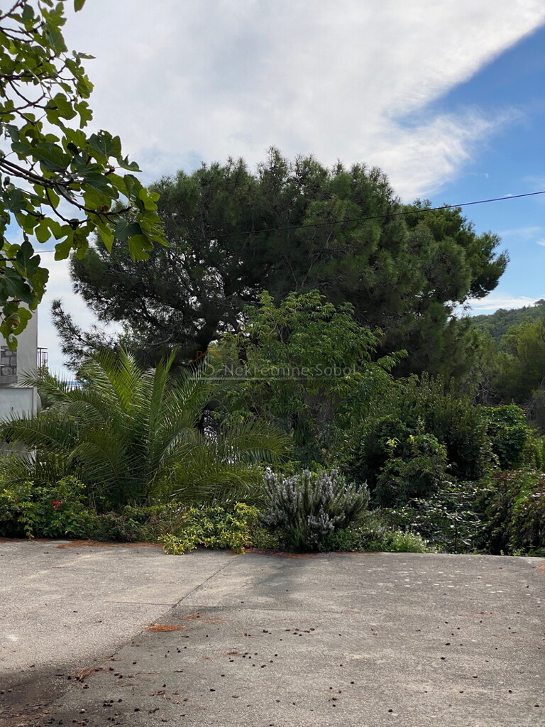 Image 6245013 - 10