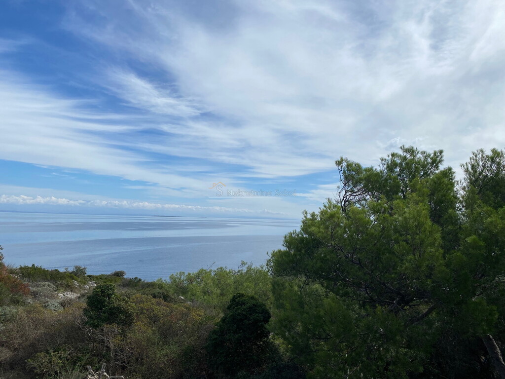 Image 6245013 - 4