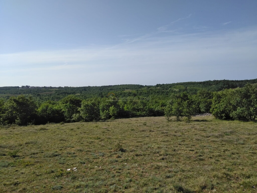 Image 6245015 - 9