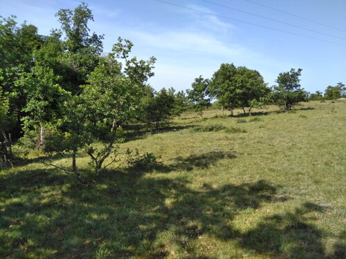 Thumbnail 6245015 - 5