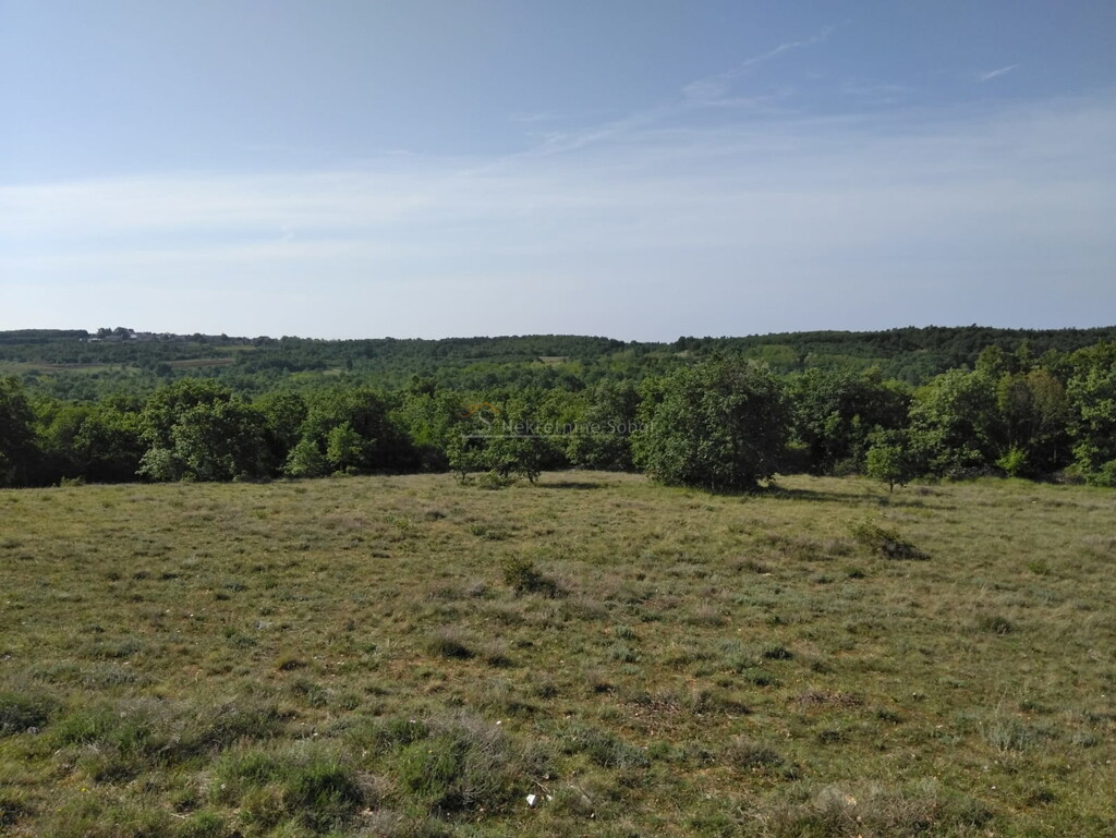 Image 6245015 - 14