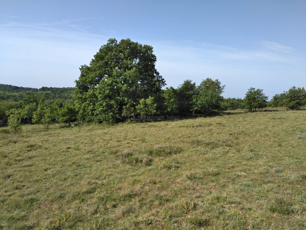 Image 6245015 - 7