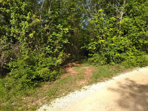 Thumbnail 6245015 - 2