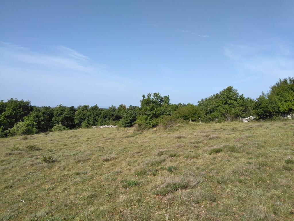 Image 6245015 - 13