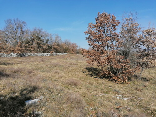 Thumbnail 6245015 - 4