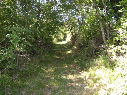 Thumbnail 6245015 - 10
