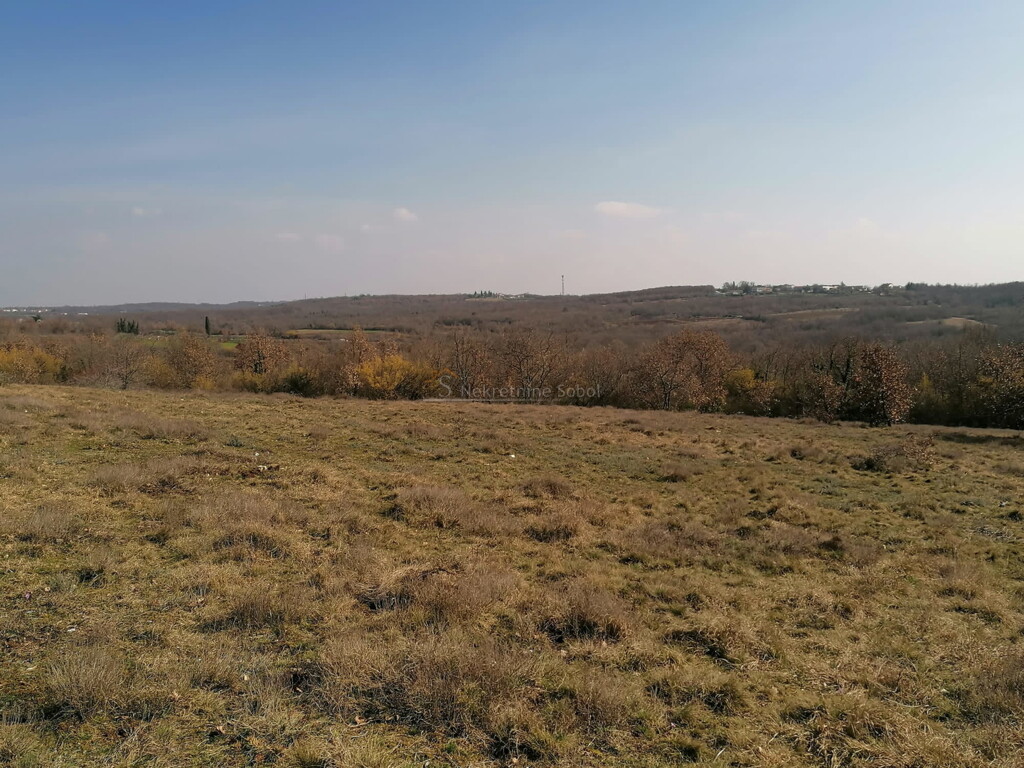 Image 6245015 - 6