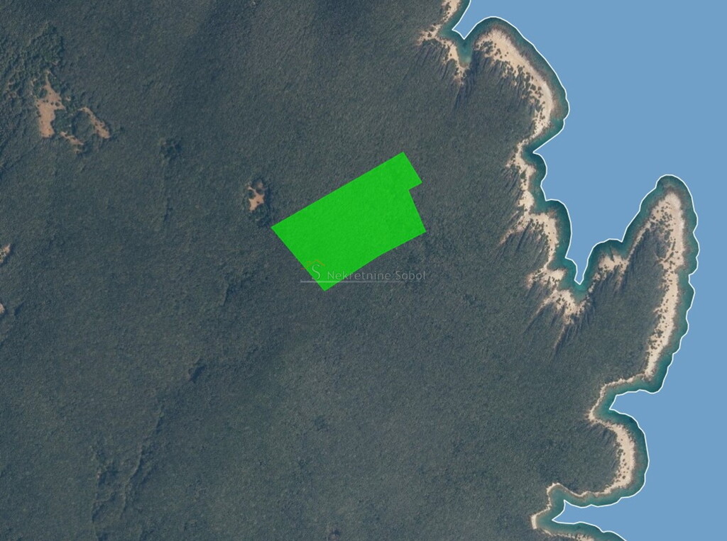 Image 6245016 - 2