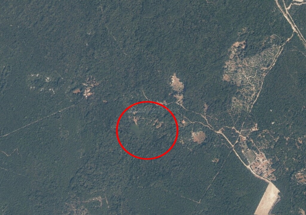 Image 6245017 - 2