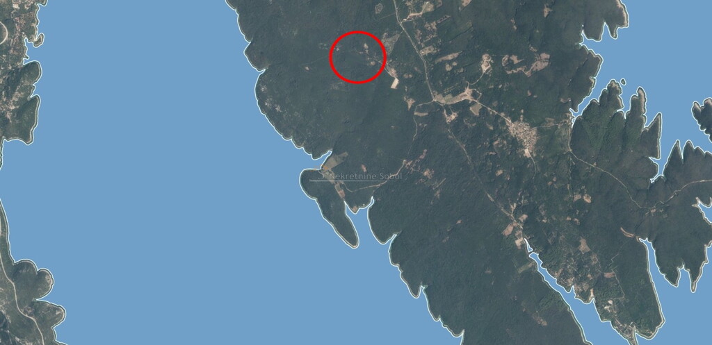 Image 6245017 - 1