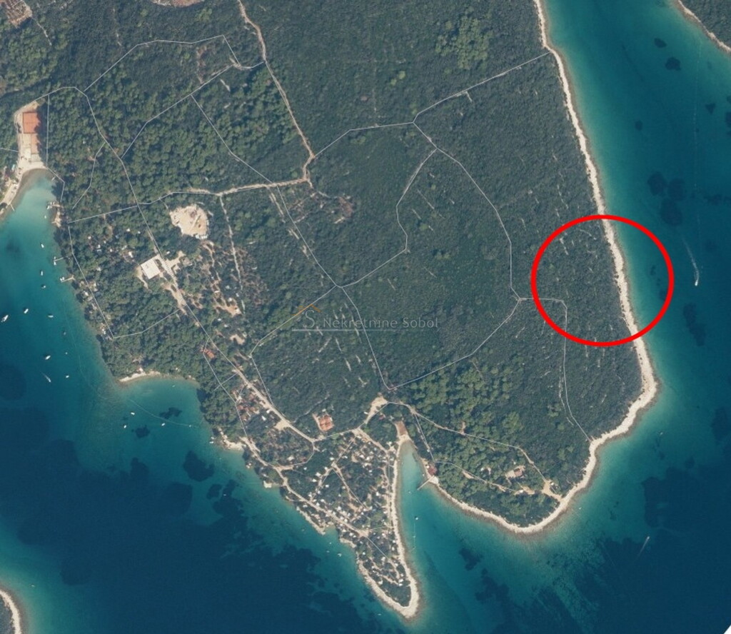 Image 6245020 - 2