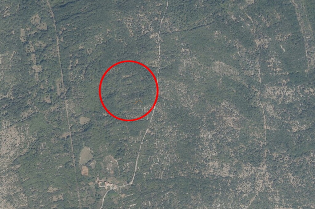 Image 6245021 - 1