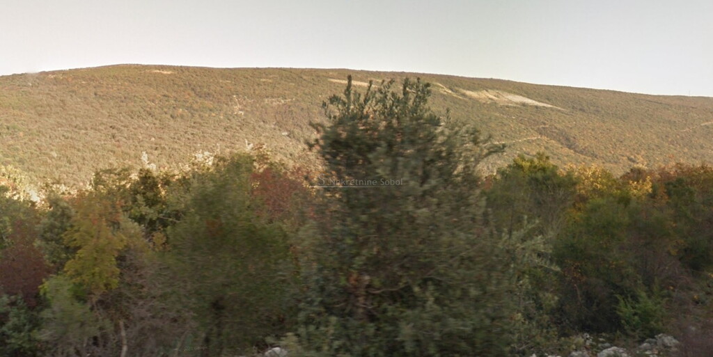 Image 6245021 - 2