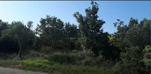 Thumbnail 6245024 - 1