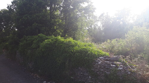 Thumbnail 6245024 - 4