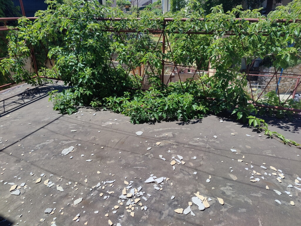 Image 6245025 - 8