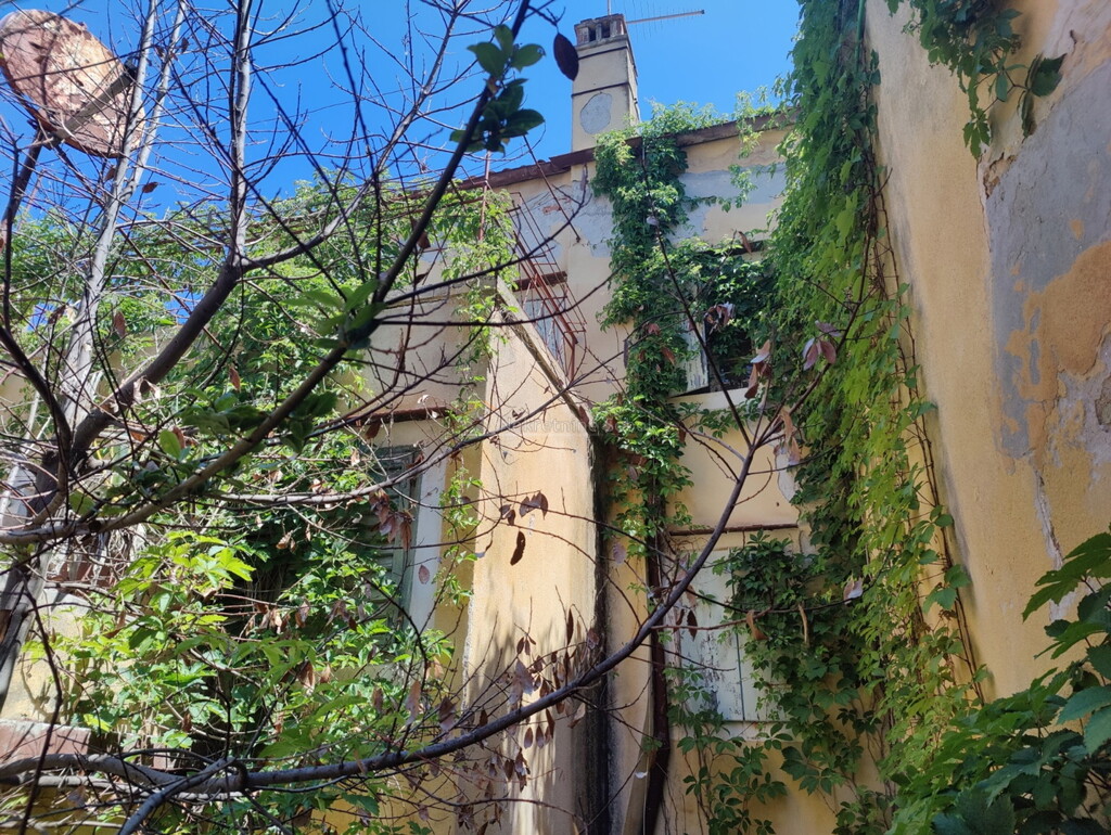 Image 6245025 - 2