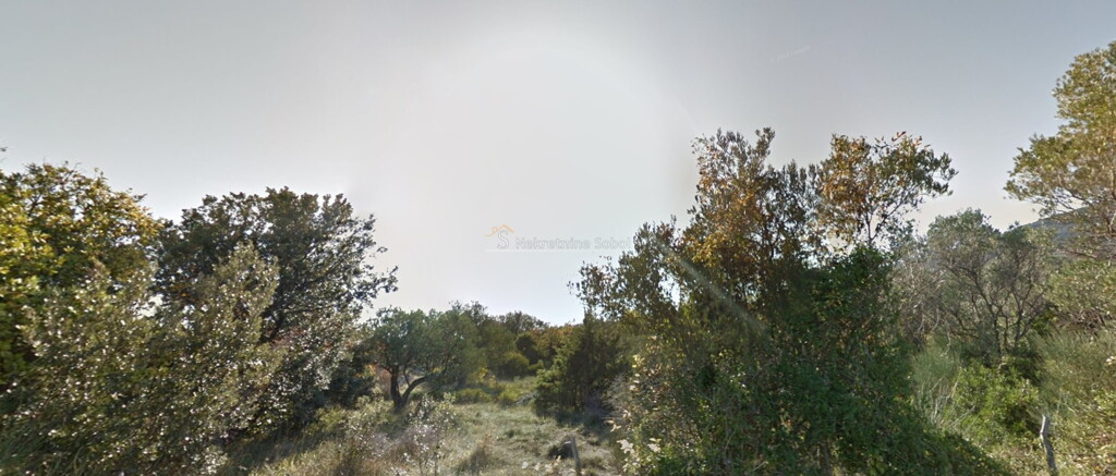 Image 6245027 - 1