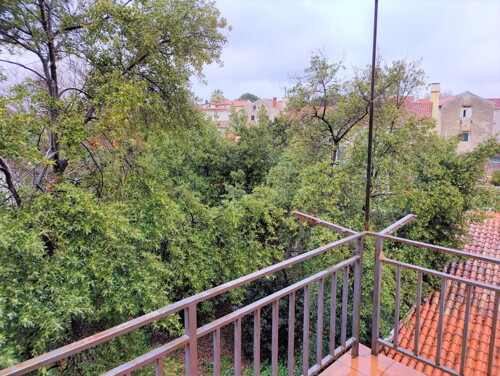Thumbnail 6245029 - 11