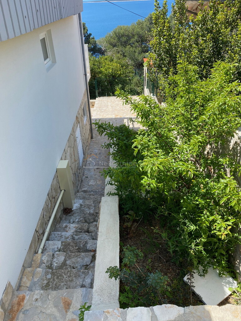 Image 6245035 - 4